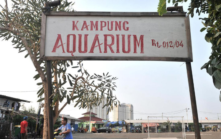 Kampung Susun Akuarium Bukti Bahwa Keadilan di Jakarta Nyata